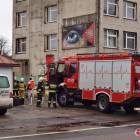 Fotka nr 2 z 27