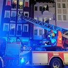 Fotka nr 2 z 13