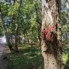 Fotka nr 3 z 9