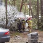 Fotka nr 2 z 16