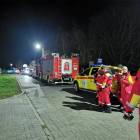 Fotka nr 2 z 12