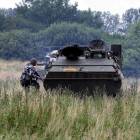 Fotka nr 3 z 17