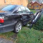 Fotka nr 5 z 8