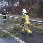 Fotka nr 1 z 10