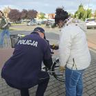 Fotka nr 1 z 11