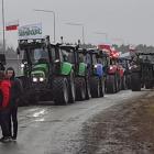 zdjęcie nr 16