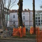 zdjęcie nr 13