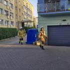 Fotka nr 3 z 12