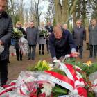zdjęcie nr 15