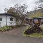 zdjęcie nr 12