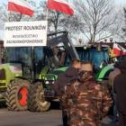 zdjęcie nr 15