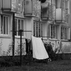 zdjęcie nr 28