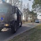 Fotka nr 5 z 12