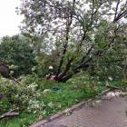 zdjęcie nr 8