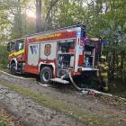 Fotka nr 5 z 16