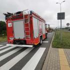 zdjęcie nr 9