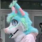 zdjęcie nr 50