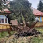 zdjęcie nr 36