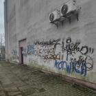 Fotka nr 4 z 14
