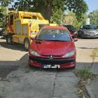 Fotka nr 5 z 7