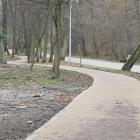zdjęcie nr 12