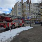 Fotka nr 5 z 7