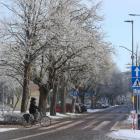 zdjęcie nr 17