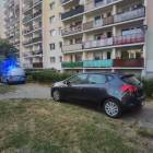 Fotka nr 1 z 5