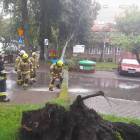 zdjęcie nr 38