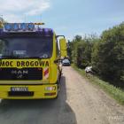 Fotka nr 4 z 12