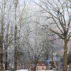 zdjęcie nr 7