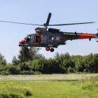 Fotka nr 4 z 17