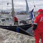 zdjęcie nr 17