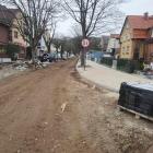 Fotka nr 5 z 13