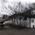 zdjęcie nr 40