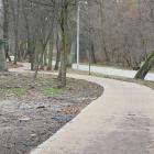 zdjęcie nr 8