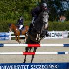 zdjęcie nr 19