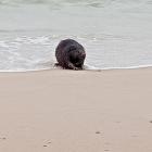 Fotka nr 2 z 3