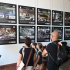 zdjęcie nr 7