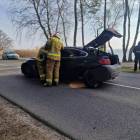 Fotka nr 3 z 12
