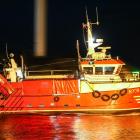 Fotka nr 4 z 23