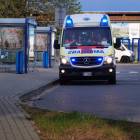 zdjęcie nr 7
