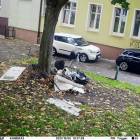 Fotka nr 2 z 7