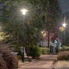 Fotka nr 5 z 6