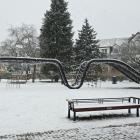 zdjęcie nr 14