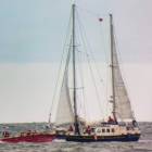 zdjęcie nr 8