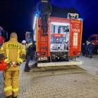 Fotka nr 2 z 12