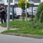 Fotka nr 1 z 12