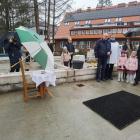 zdjęcie nr 15