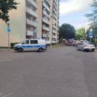 Fotka nr 1 z 11